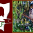 Thumbnail image for SOLF invites you to “Owls, Photography, and Awards” on May 12