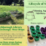 Thumbnail image for Library Gardening news: Lifecycle of Seeds, next steps in Seed Exchange, and more