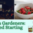 Thumbnail image for Events this week: Teen Seed Starting, Outdoor Movie, Wellness Cooking, Storyteller, and more