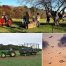 Thumbnail image for Chestnut Hill Farm’s Fall Fun on the Farm Sundays in October – and other fall events (Updated)