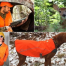 Thumbnail image for Deer hunting season open: Trail hikers encouraged to wear “Blaze Orange”
