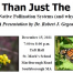 Thumbnail image for More Than Just The Buzz! Restoring native pollinations systems – Wednesday night