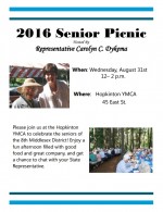 senior picnic flyer