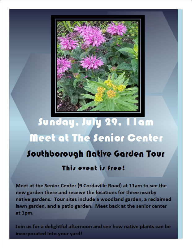 Garden tour celebrates native plants Sunday (Updated) My Southborough