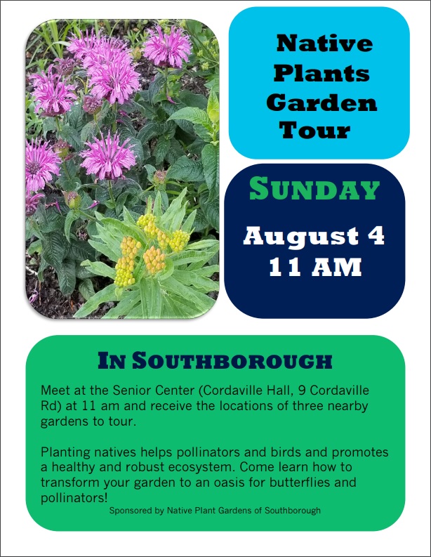 Garden tour celebrates native plants Sunday My Southborough