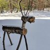 Wooden Reindeer at Chestnut Hill Farm