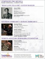 Symphony Pro Musica February concert