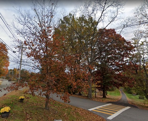 Post image for Planning rejects tree removals at Flagg & Deerfoot intersection (plus an update on Tree bylaw Article)