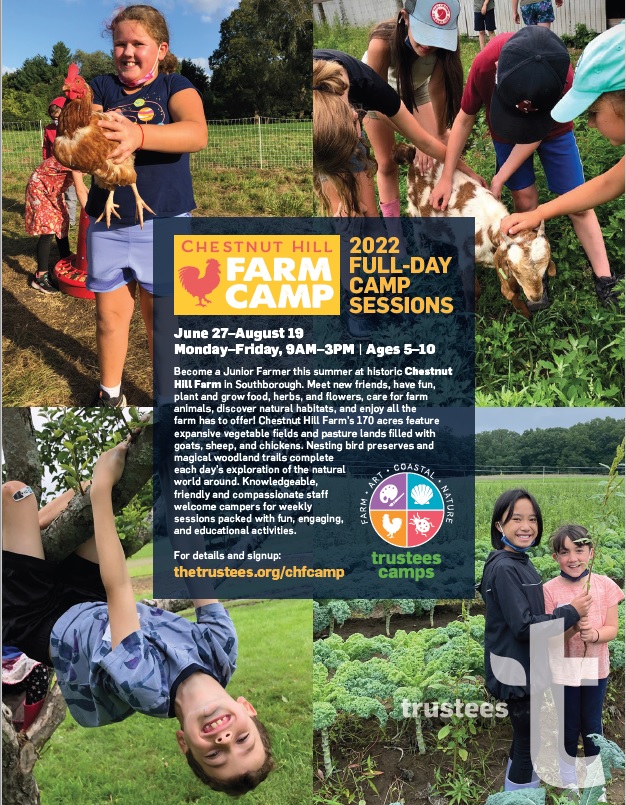 Chestnut Hill Farm Summer Camp My Southborough