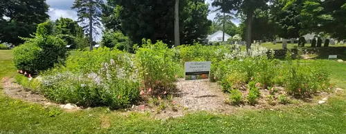 Post image for Native Garden Tours, Native Solutions webinar, and another Seed event