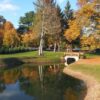 lily pond image shared on Facebook october 2020 by Friends of Burnett-Garfield House