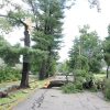 storm damage Parkerville (by Allan Bezanson)