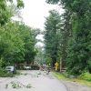 storm damage parkerville (by Allan Bezanson)