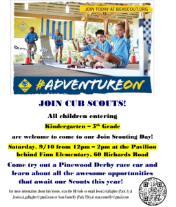 Cub Scout Scouting Day flyer