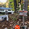 Halloween Mega Display 2022 (contributed)