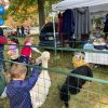 Greeting alpacas (by Beth Melo)