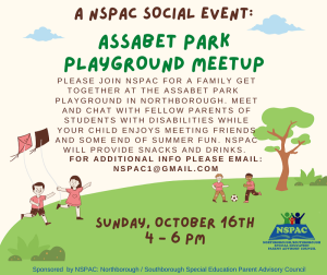 NSPAC Playground Meetup flyer