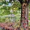 St Mark's Boathouse, early fall 2022 by Olivia Lamb