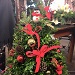 Gulbankian Holiday boxwood tree