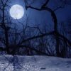 Full Snow Moon (from Chestnut Hill Facebook page)