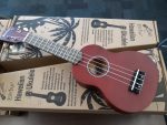Southborough Library's circulating ukuleles
