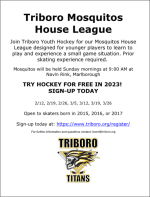 Mosquito House League flyer