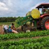 Celebrating the Women of Trustees Agriculture from Chestnut Hill Farm event page