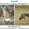 Coywolf Book