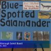 Blue-Spotted Salamander sign at Select Board meeting (from YouTube)