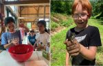 Chestnut Hill Farm Camp (contributed photos)