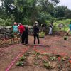 Installation July 2022, see how far we’ve come since then! (Contributed Photo of Beals Preserve Garden)