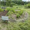 Pollination Preservation Garden at Beals Preserve (from SOLF website)