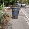 Trash bins (belong on driveway)