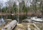 A beaver dam on the Sudbury River (photo by Deborah Costine)