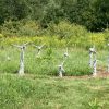 “Tilting at Windmills” display of small sculptures