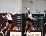 Algonquin Girls Volleyball won their first home game against Hudson (cropped from pics by Owen Jones Photography)