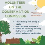Conservation volunteers needed flyer