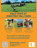 Field Trips at Chestnut Farm flyer