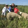 Junior Farmer for a Day from Chestnut Hill Farm event