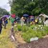 Native Garden Tour in June (contributed photo)