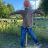 Pumpkin Scarecrow from Chestnut Hill Farm event page