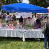 Southborough Gardeners put on floral arranging demos in 2022 (by Beth Melo)