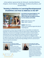 NSPAC Anxiety webinar flyer