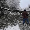 Downed trees Jan 7th (from facebook)
