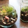 Kids DIY Terrarium Workshop