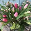 Pink tulip mix