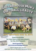 Men's Softball League