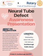 Neural Tube Defect Awareness Presentation flyer