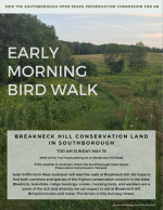 Early Morning Bird Walk flyer