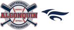 ABSA and Ruinbirds logos